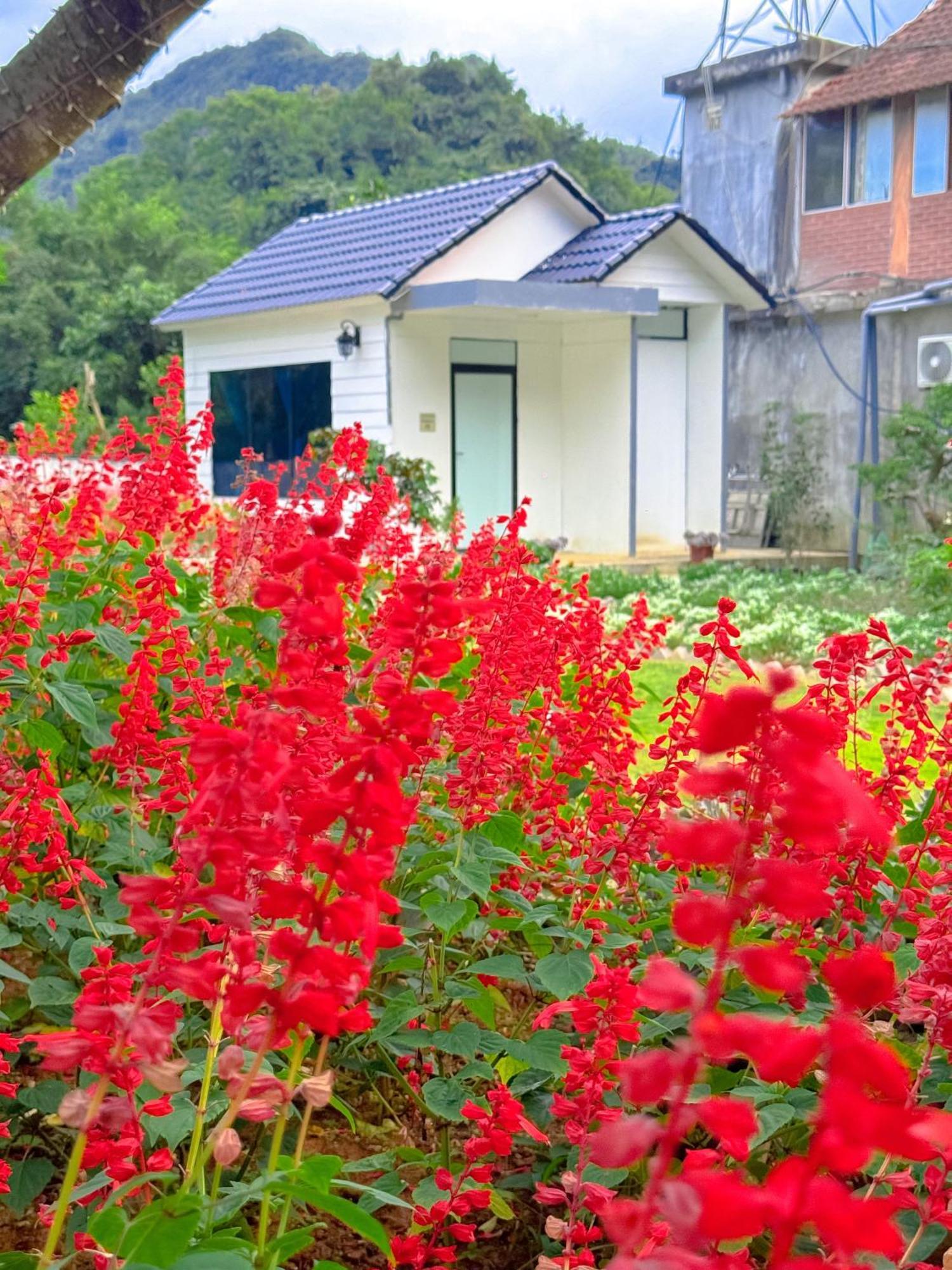 Moc Chau House Hotell Exteriör bild